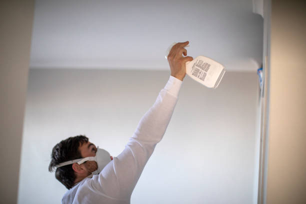 Best Health and Safety Mold Remediation in Coon Rapids, IA